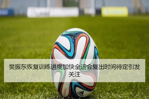 樊振东恢复训练进度加快全运会复出时间待定引发关注